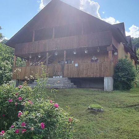 Cabana Suciu Villa Rachitele Buitenkant foto