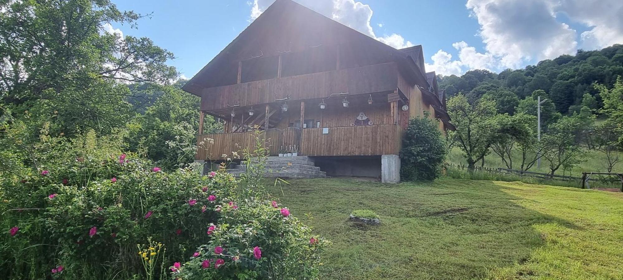 Cabana Suciu Villa Rachitele Buitenkant foto