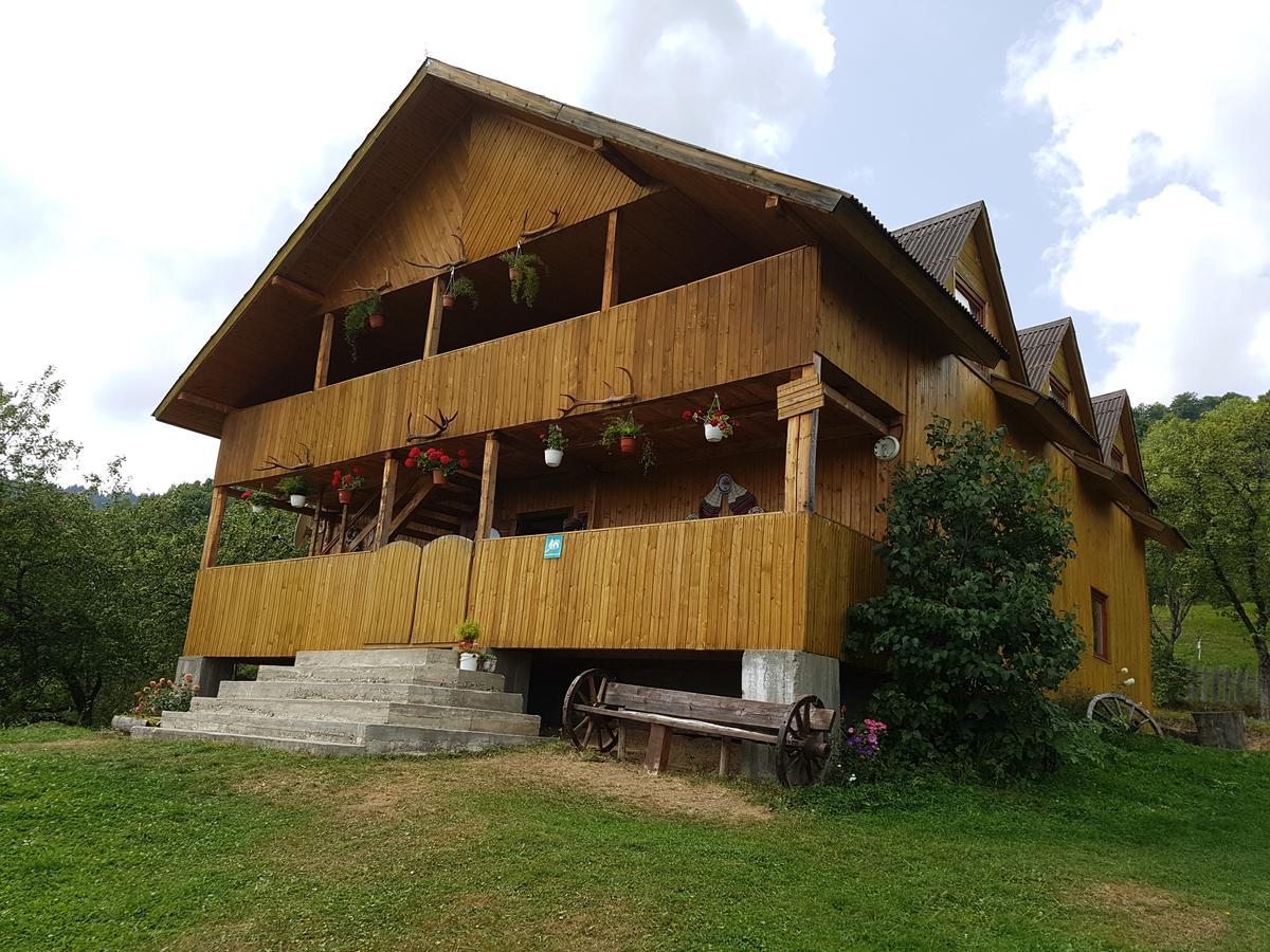 Cabana Suciu Villa Rachitele Buitenkant foto