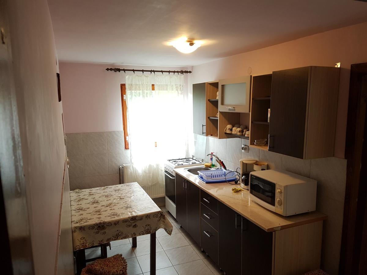 Cabana Suciu Villa Rachitele Buitenkant foto