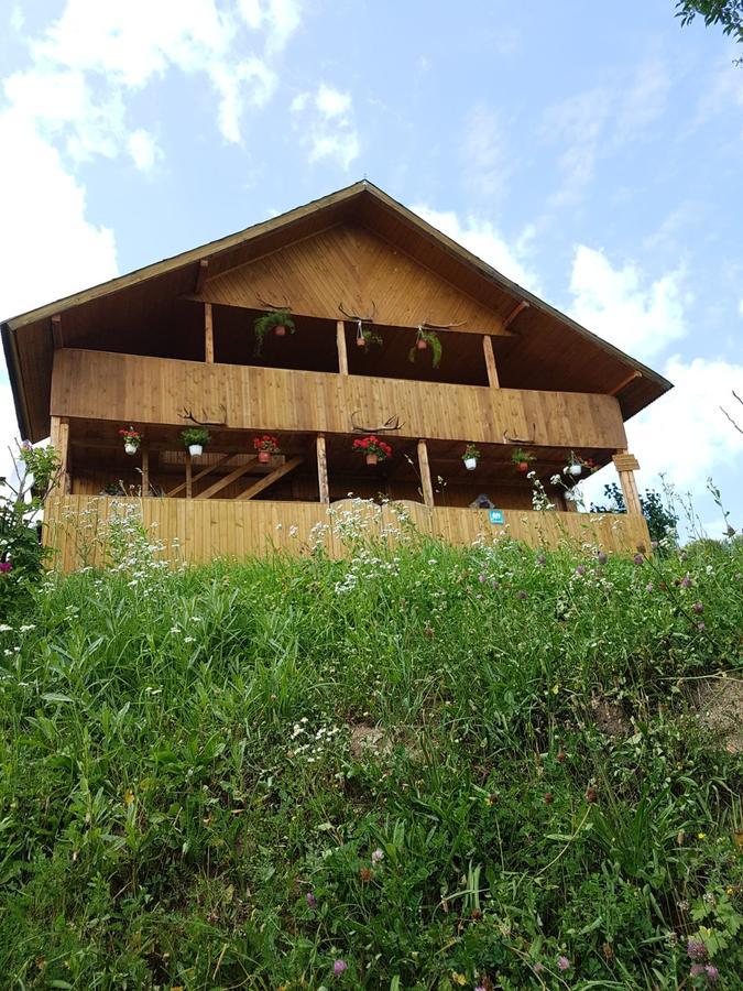 Cabana Suciu Villa Rachitele Buitenkant foto