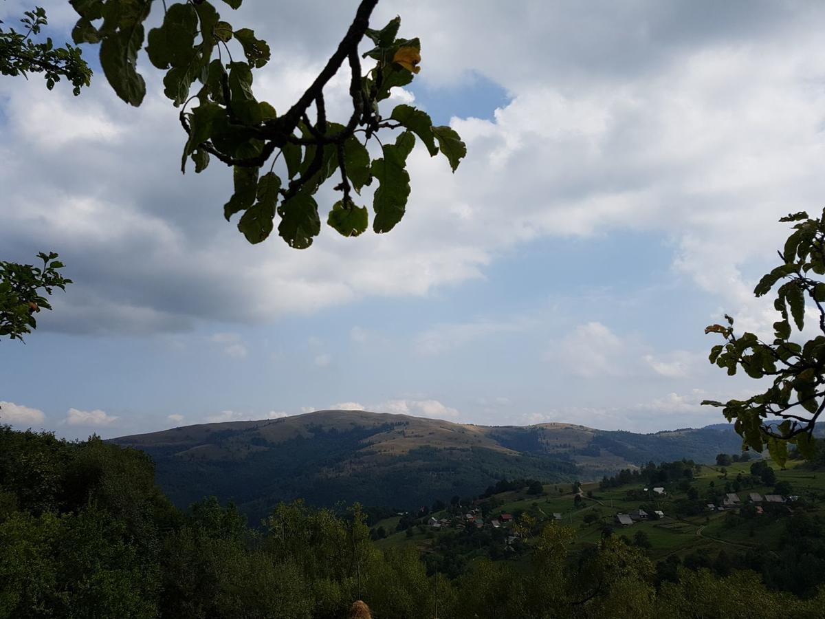 Cabana Suciu Villa Rachitele Buitenkant foto